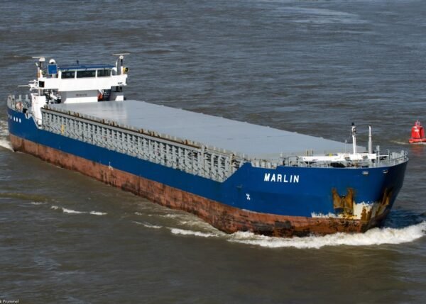 MARLIN - Afbeelding 3