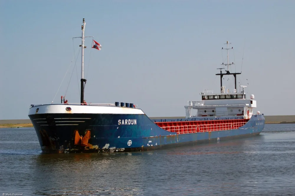 Sardijn in Delfzijl, 23-07-2006