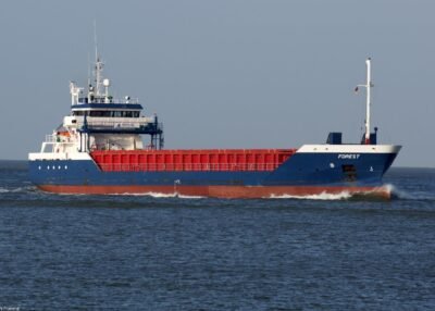 Forest on river Scheldt passing Terneuzen, 08-11-2014