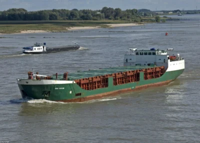 See-Adler on river Waal passing Beneden Leeuwen, 04-09-2010