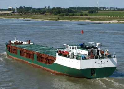 See-Adler on river Waal passing Beneden Leeuwen, 04-09-2010