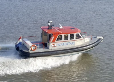 Plevier arriving at Nes, 07-09-2006