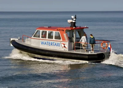 Kluut leaving Lauwersoog, 23-06-2010