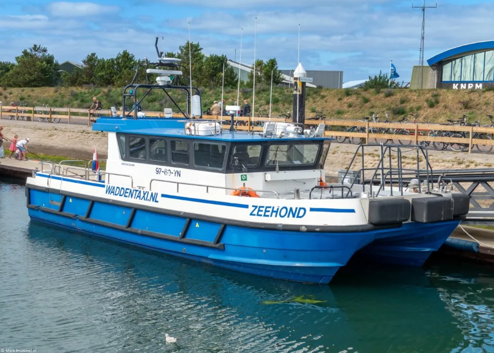 https://markprummel.nl/wp-content/uploads/2025/08/Zeehond-2011-Ned-16-08-2025-Vlieland-5814-Aangepast-jpg.webp